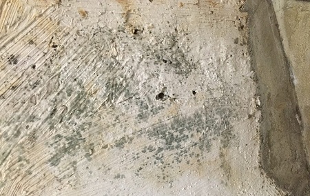 Как выбрать антисептик для бетона: виды и применение