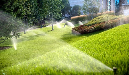 Автополив газона на даче: достоинства, устройство и подключение
