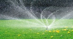 Правила подключения автополива газона: из каких этапов состоит процесс