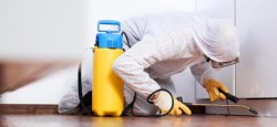 Способы и правила проведения дезинфекции помещений от вирусов