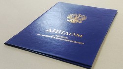 Что делать в случае утери диплома ВУЗа: полезные советы