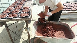 Изготовление брусчатки в домашних условиях: технология и инструменты