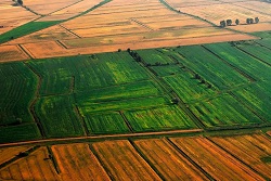 Изменение категории земельного участка: когда нужно и как перевести