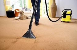 Правила и советы по эксплуатации моющего пылесоса в быту