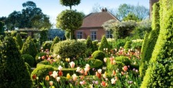 Оформляем придомовую территорию в голландском стиле: что для этого потребуется