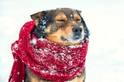 Пишем и говорим грамотно: как правильно - непогода или не погода