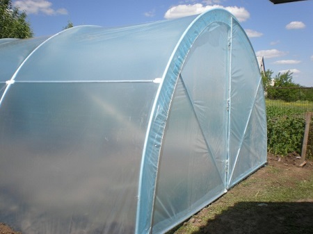 Парниковая пленка для теплиц: достоинства, правила и этапы монтажа