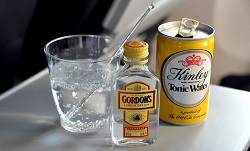 Как правильно пить джин: полезные советы от специалистов