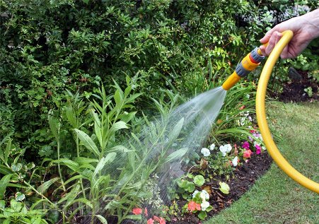 Шланг для полива: материал изготовления, разновидности и рекомендации покупки