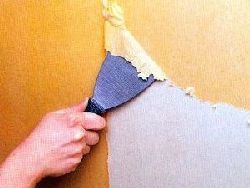 Как снять старую краску со стен?