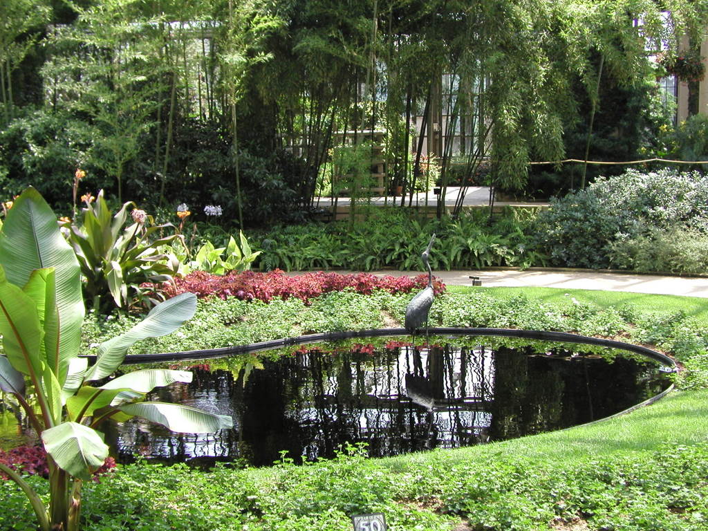 Ландшафтный дизайн за неделю