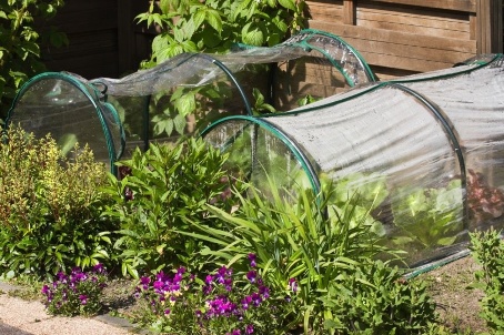 Парник на даче своими руками: виды конструкций и простой вариант дугообразного парника