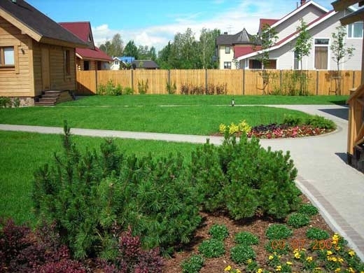 Правильный уход за газоном