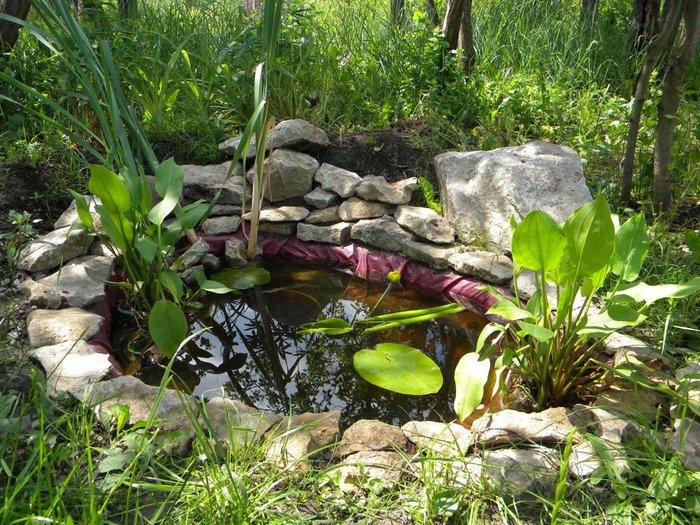 Создаем красивый пруд на дачном участке