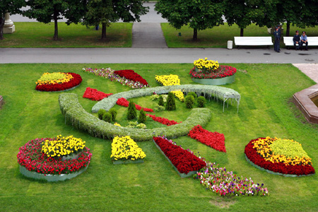 Система капельного полива для вашего участка