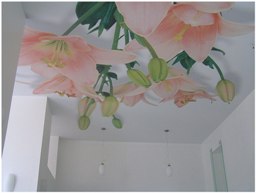 Тканевые натяжные потолки