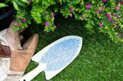 Пошаговая инструкция удобрения плодово-ягодных культур: каким правилам необходимо следовать